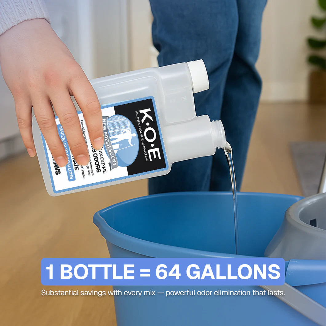 PET ODOR & STAIN ELIMINATOR