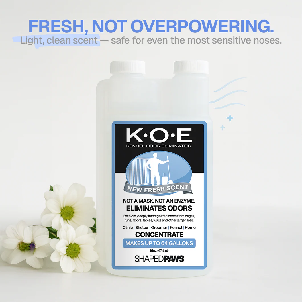PET ODOR & STAIN ELIMINATOR
