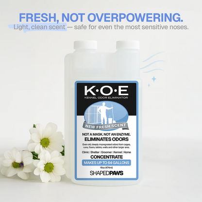 PET ODOR & STAIN ELIMINATOR
